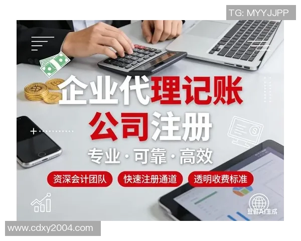 财务注册服务全面解析与优化策略助力企业高效合规运营